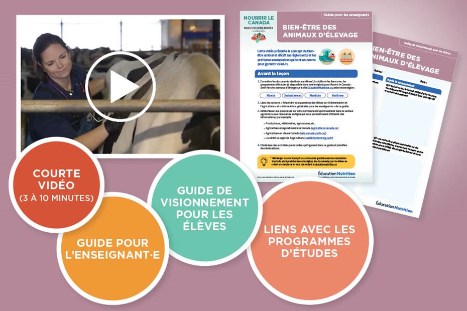 Nourrir le Canada : Bien-être des animaux d’élevage