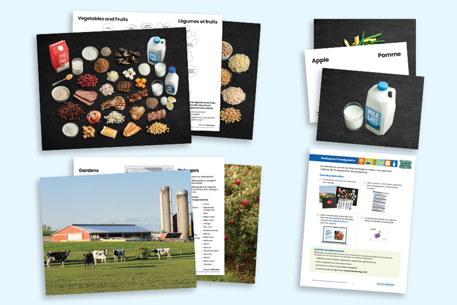 Trousse d’images d’aliments: Commandez ici