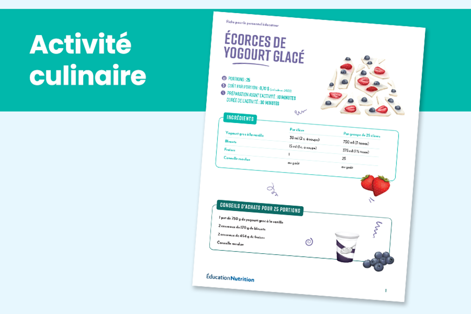Écorces de yogourt glacé : Activité 