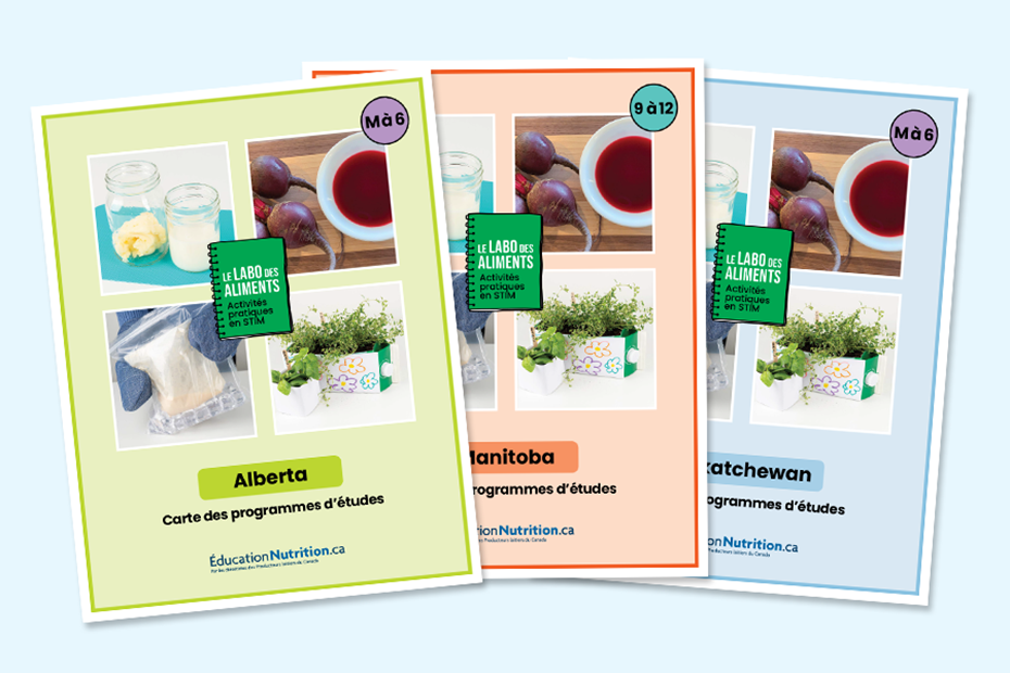 Liens avec les programmes d’études