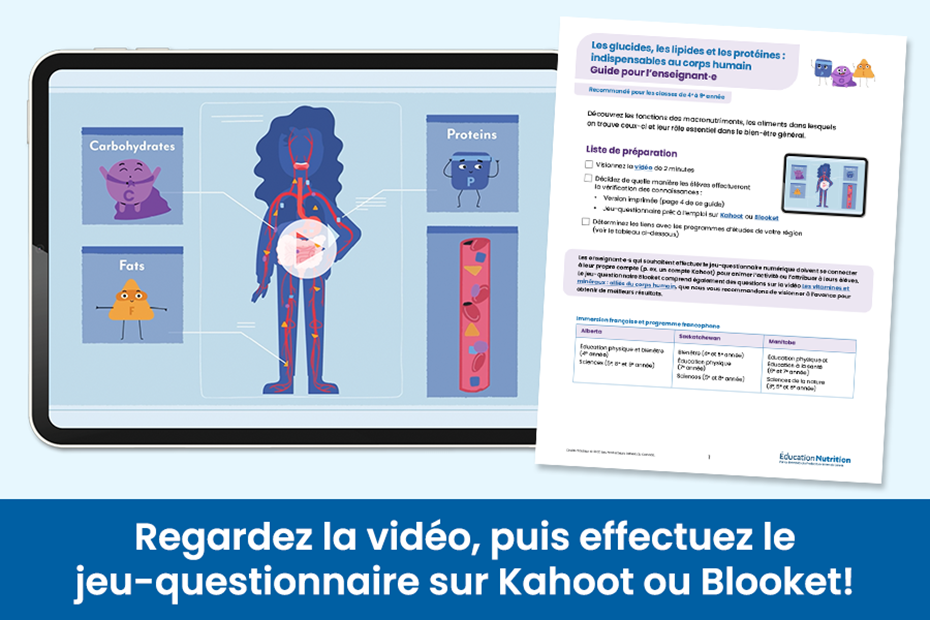 Les glucides, les lipides et les protéines : indispensables au corps humain