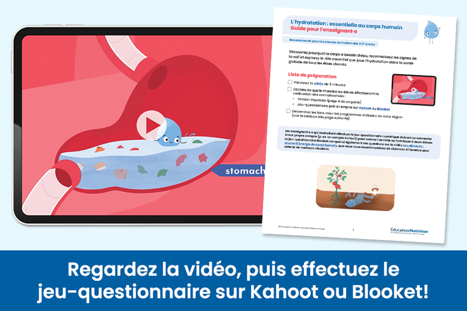 L’hydratation : essentielle au corps humain