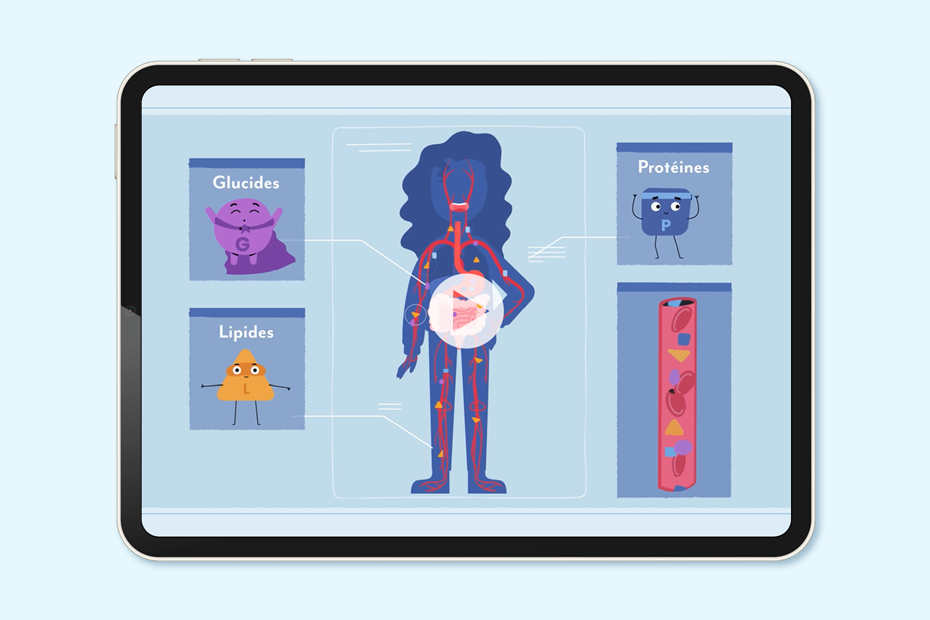 Les glucides, les lipides et les protéines : indispensables au corps humain – Vidéo