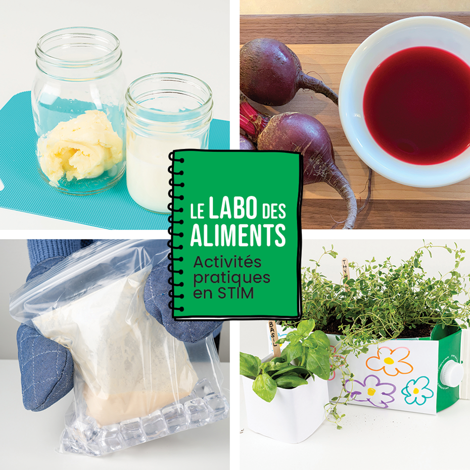 Le labo des aliments – Activités en STIM de M à 12