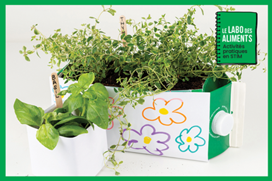 Le labo des aliments : Jardin dans un carton de lait